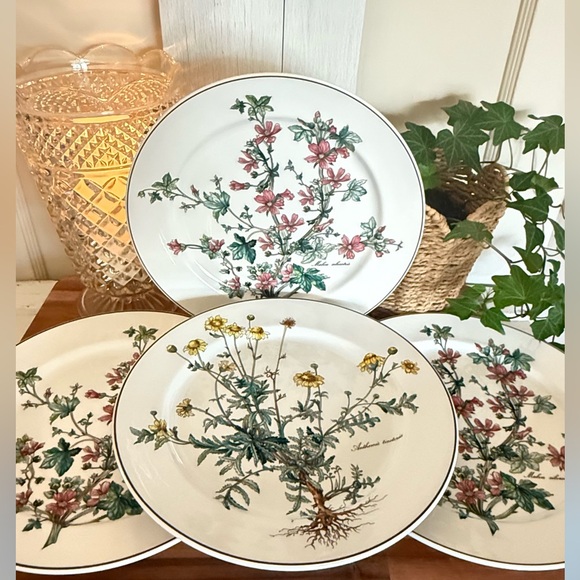 SET/4 Villeroy & Boch,”Botanica Collection”,10.5” Dinner Plates,Anthemis & Malva - Picture 11 of 15